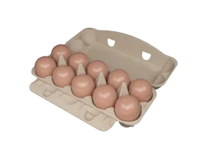 10-EGG BOX